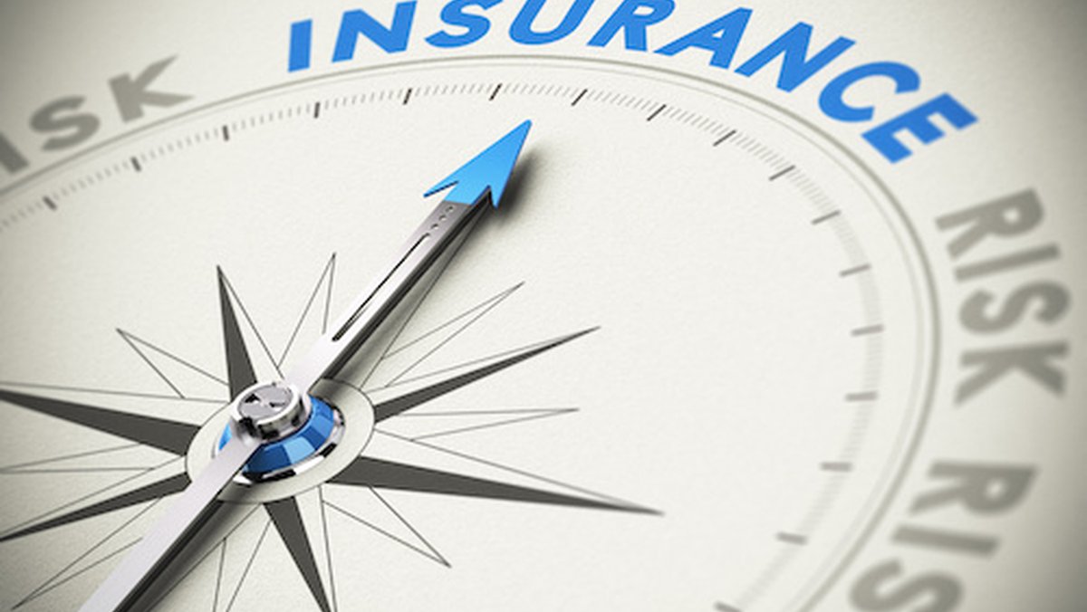 Custodial Risk Insurance Explained
